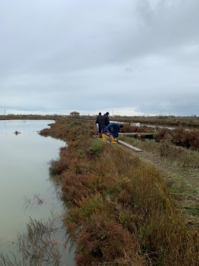 Nuova linea di alimentazione - Parco Delta del Po