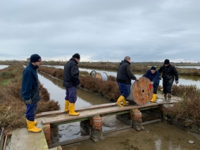 Nuova linea di alimentazione - Parco Delta del Po