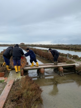 Nuova linea di alimentazione - Parco Delta del Po